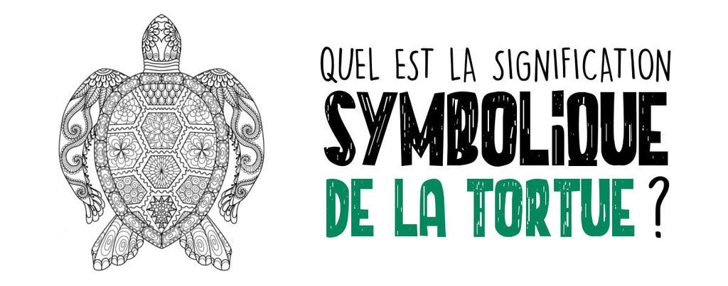 Signification de la Tortue