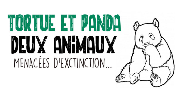 Tortue et Panda Géant : Deux Espèces menacées de Disparition