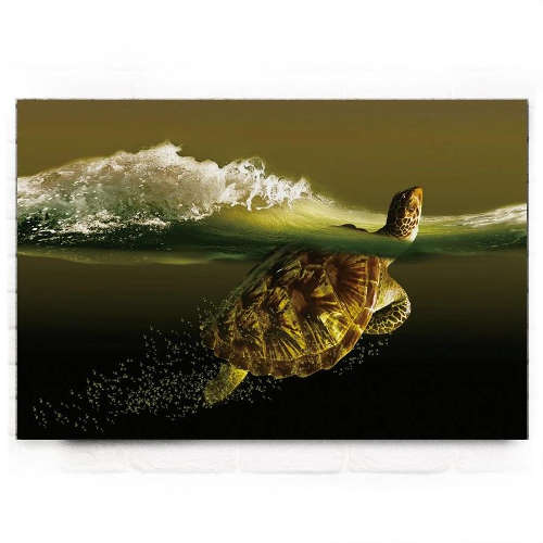 tableau tortue sepia