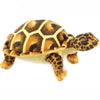 Peluche Tortue Léopard - 29 cm