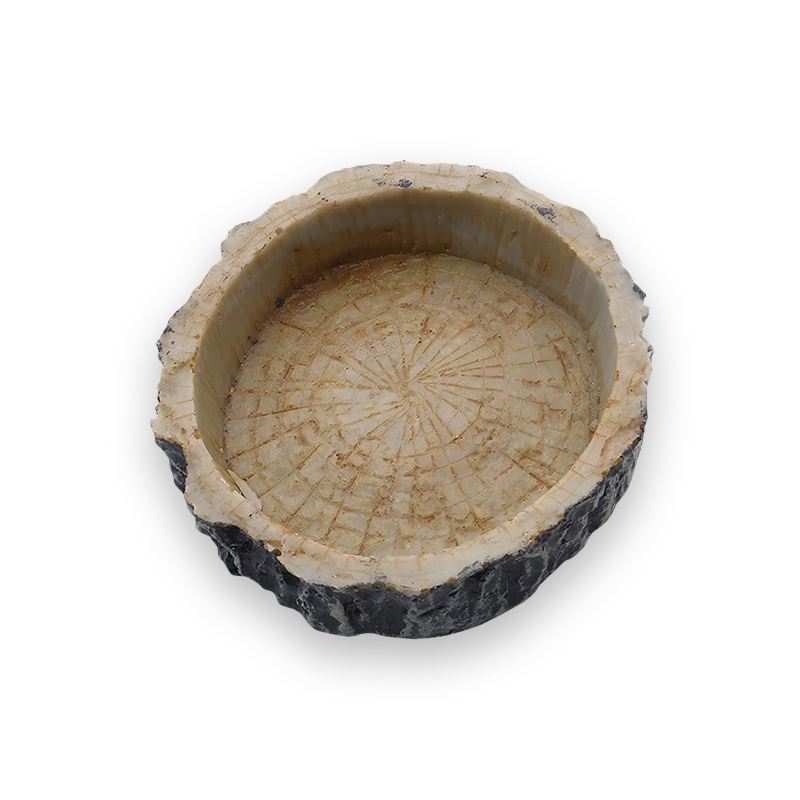 Écuelle 2 En 1 Pour Tortue/reptile - 14.9x14.5 Cm - Bassin Bain Et Mangeoire - Rampe D'accès, Antidérapante