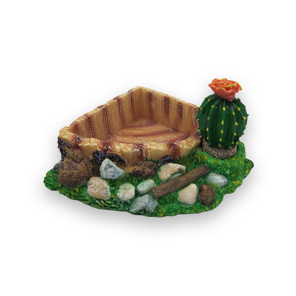 fontaine pour tortue de terre Avec une clôture