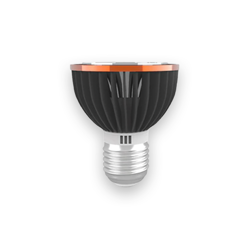 Ampoule Uvb Pour Tortue Tortue Paradise