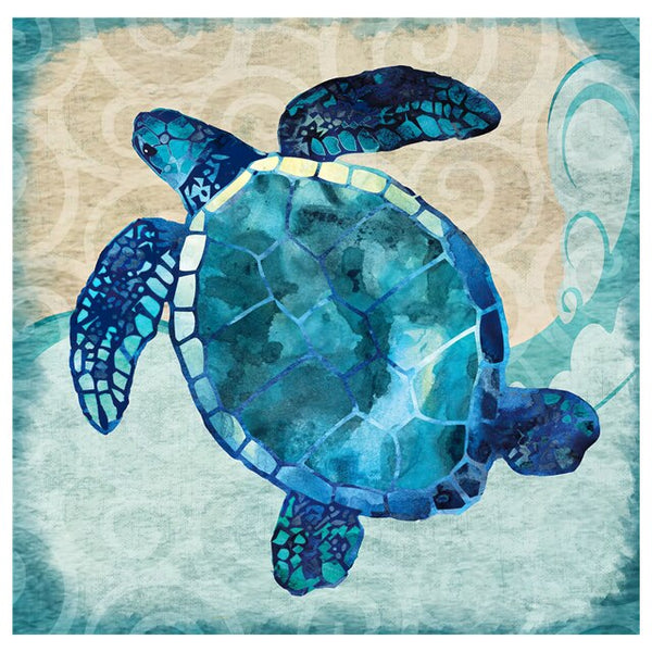 Affiche Tortue Aquarelle