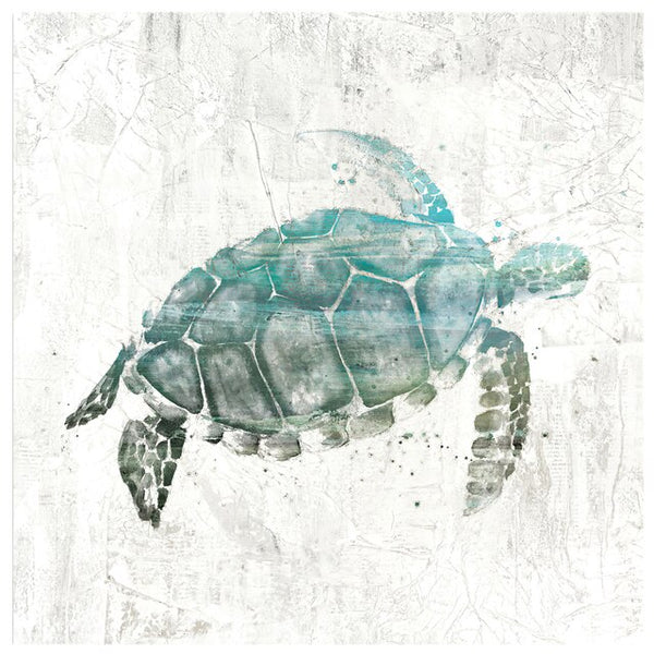 Poster Tortue Urban