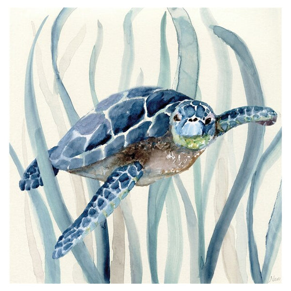 Poster Tortue Peinture