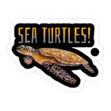 Autocollant Voiture Tortue - Sea Turtle
