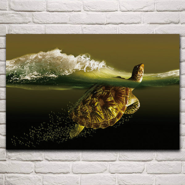 Tableau Tortue - Slow-Time
