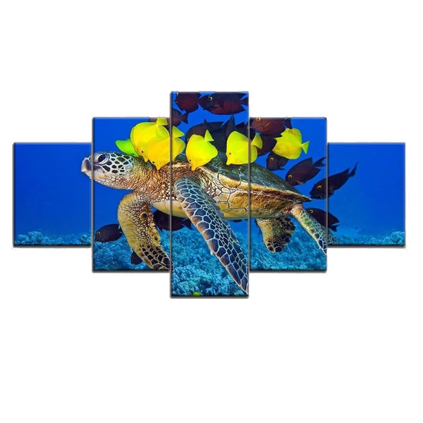 Tableau Tortue - Calinades (5pcs)
